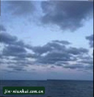 老陈