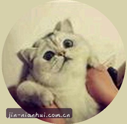 张姐