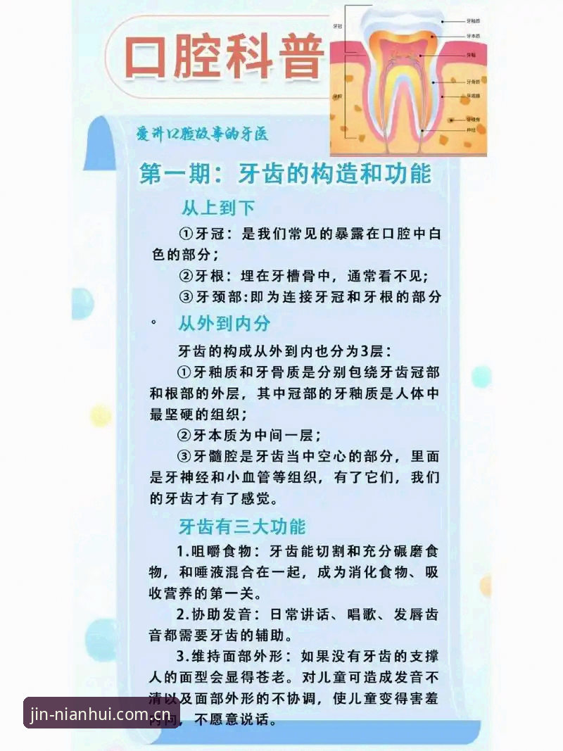金年汇官方平台完整对比指南：从功能到体验的深度解析